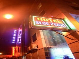 Hotel Blue Pearl Paharganj Nuova Delhi Esterno foto